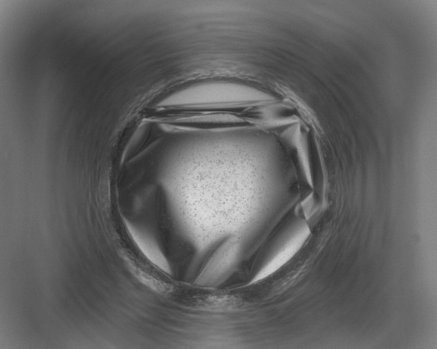 X0000082760493200702162029