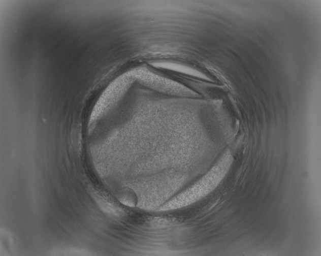 X0000082760494200702162029