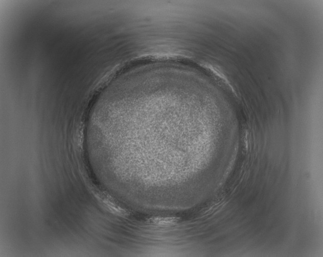 X0000082760495200702162029