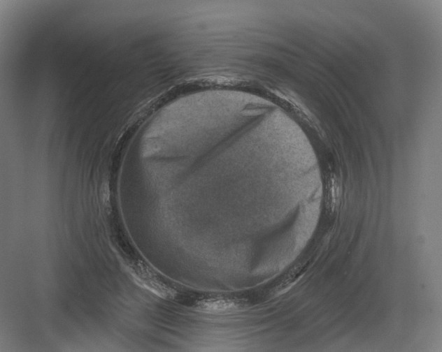 X0000082760500200702162029