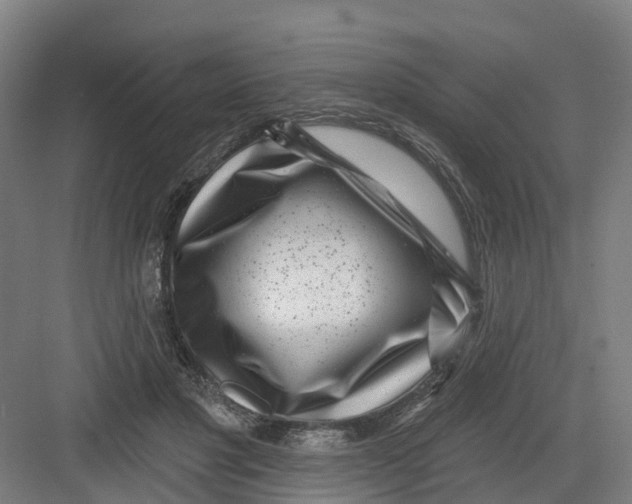 X0000082760501200702162029