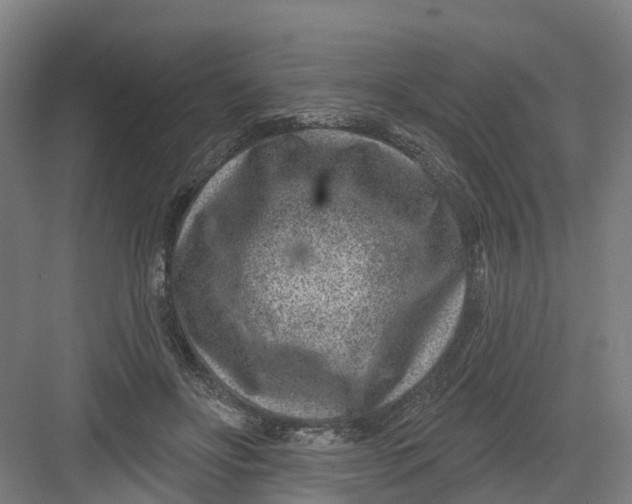 X0000082760502200702162029