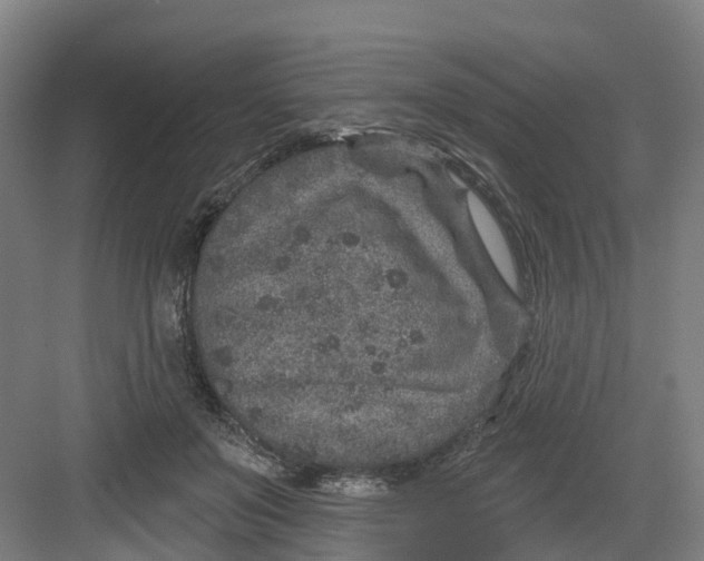 X0000082760503200702162029