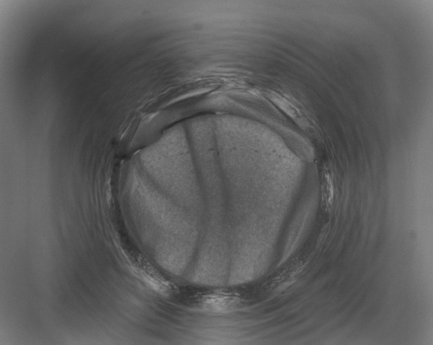 X0000082760504200702162029