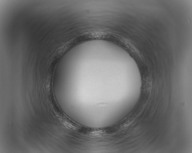 X0000082760505200702162029