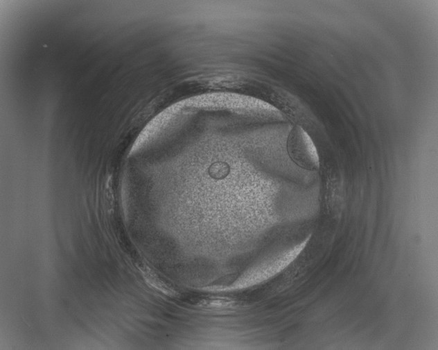 X0000082760506200702162029