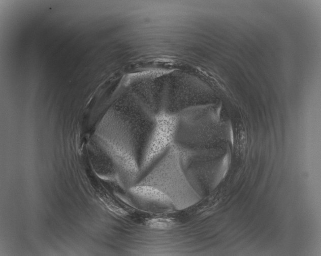 X0000082760508200702162029