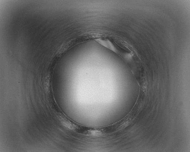 X0000082760509200702162029