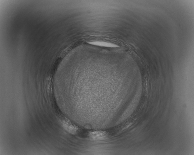 X0000082760511200702162029