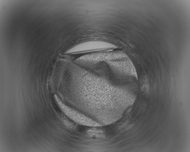 X0000082760515200702162029