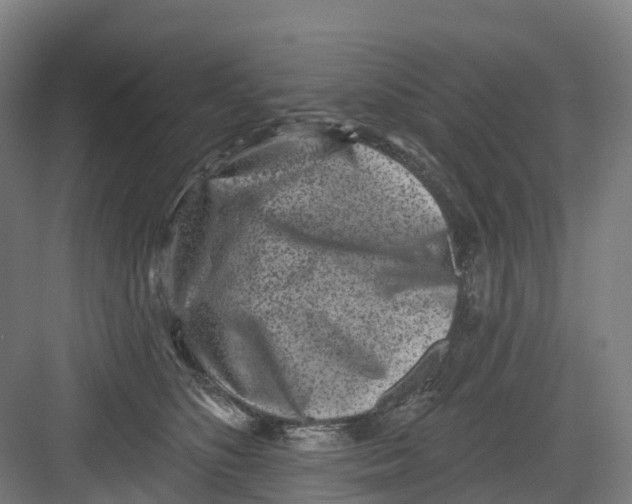 X0000082760516200702162029