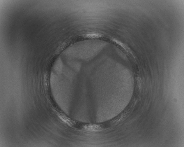 X0000082760517200702162029