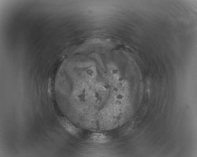 X0000082760519200702162029