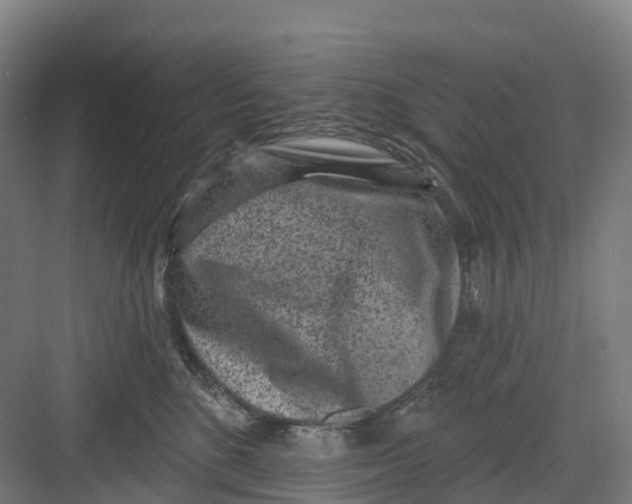 X0000082760520200702162028