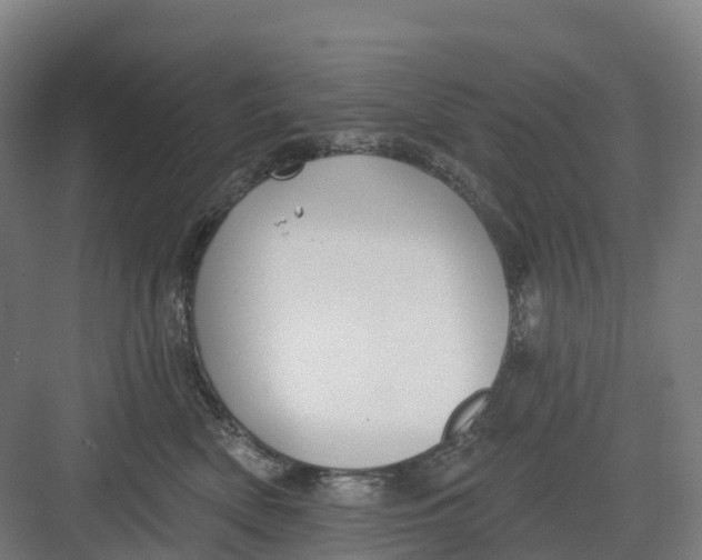 X0000082760522200702162028