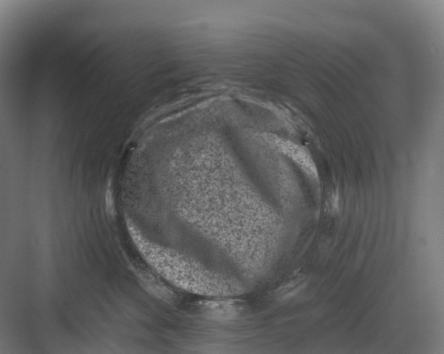 X0000082760524200702162028