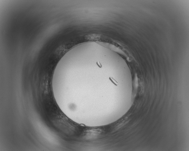 X0000082760525200702162028