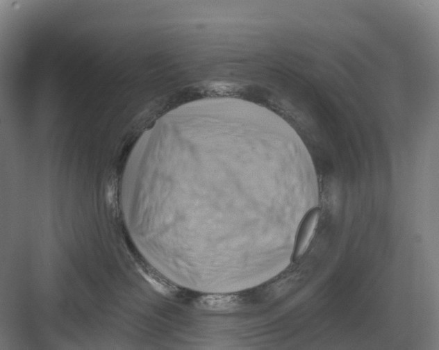 X0000082760526200702162028