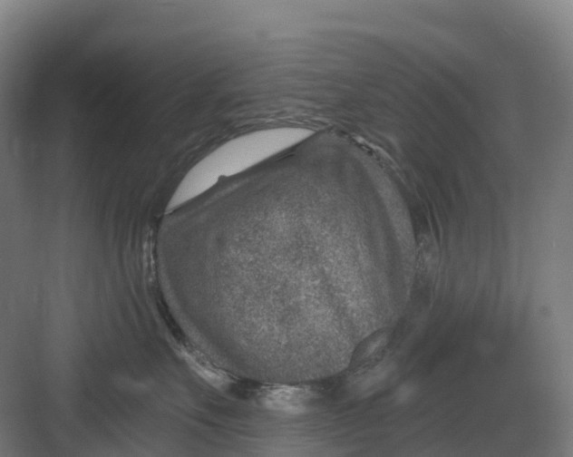 X0000082760527200702162028