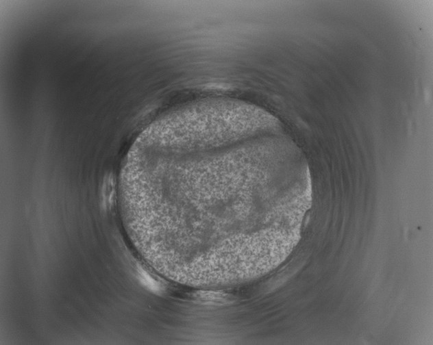 X0000082760528200702162028