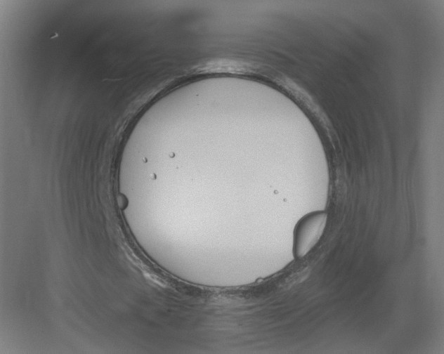 X0000082760529200702162028