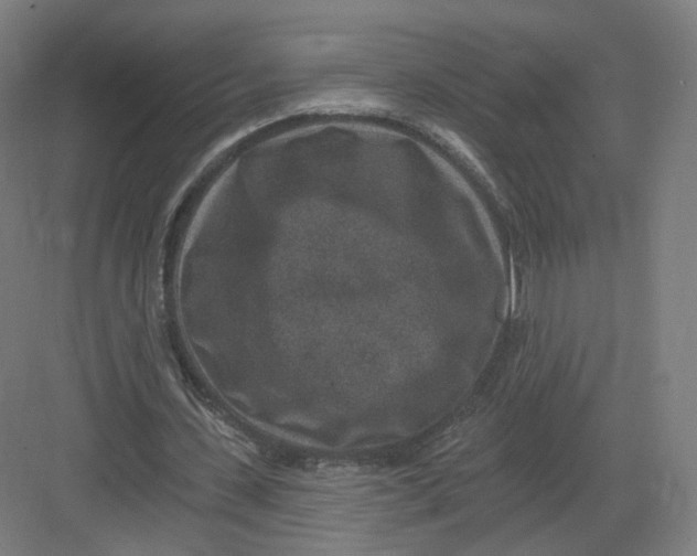 X0000082760531200702162028