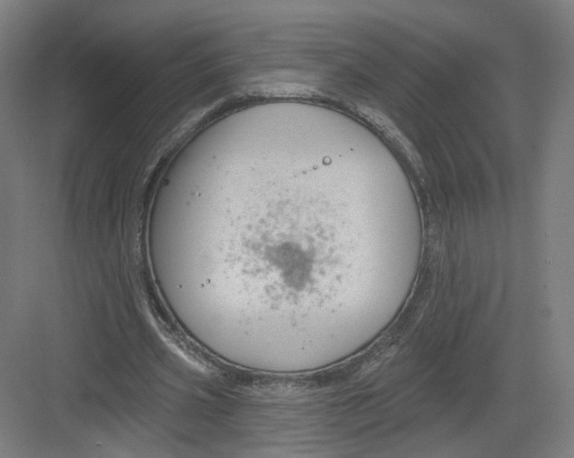 X0000082760533200702162028