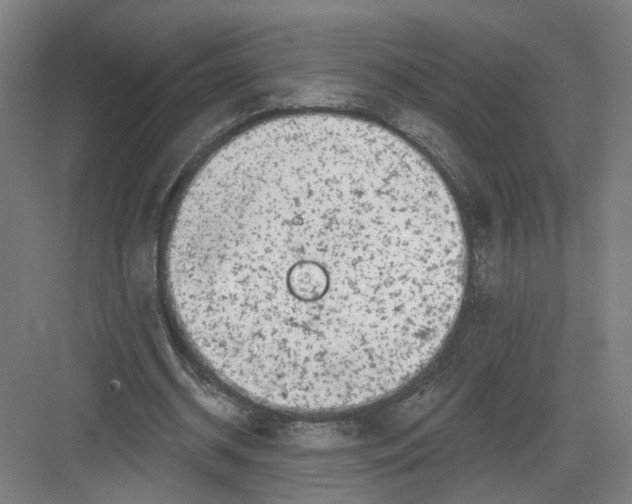 X0000082760534200702162028