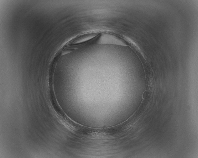 X0000082760535200702162028