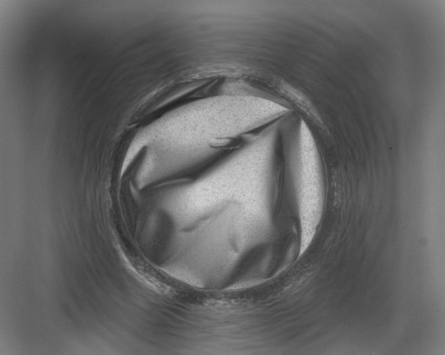 X0000082760538200702162028