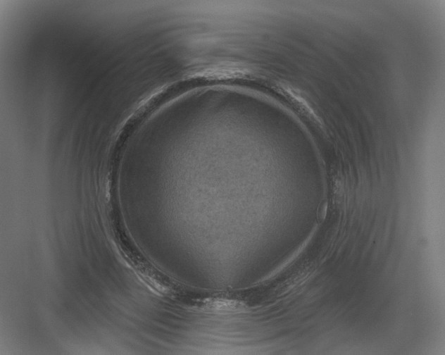 X0000082760539200702162028