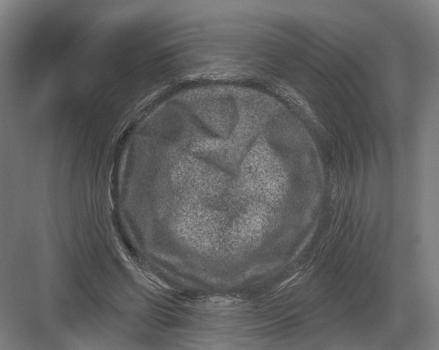 X0000082760542200702162028