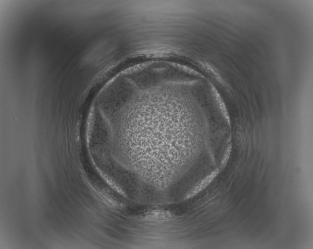 X0000082760543200702162028