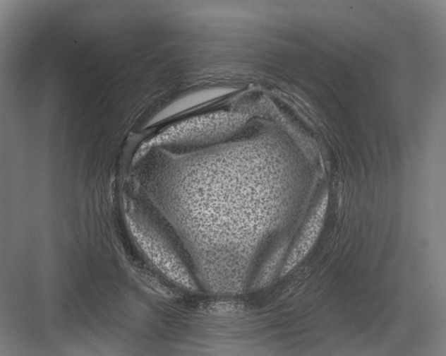 X0000082760546200702162028