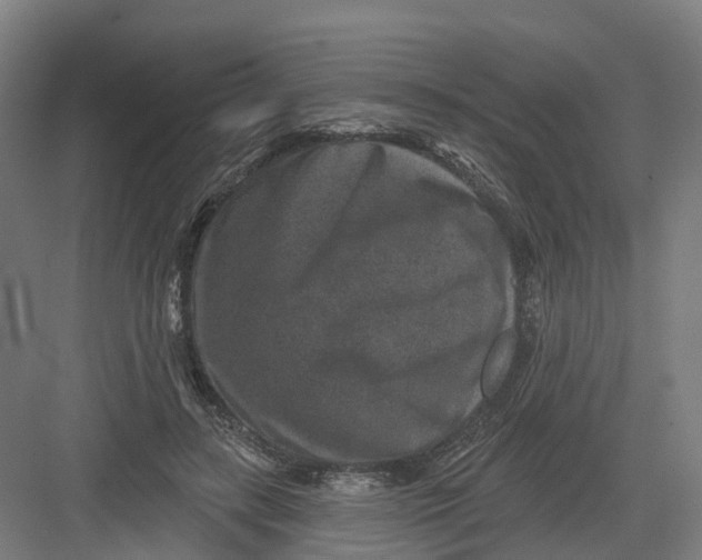 X0000082760547200702162028