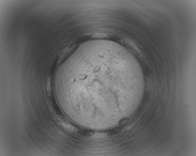 X0000082760549200702162028