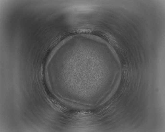 X0000082760550200702162028