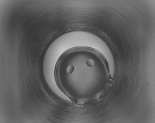 X0000082760552200702162028