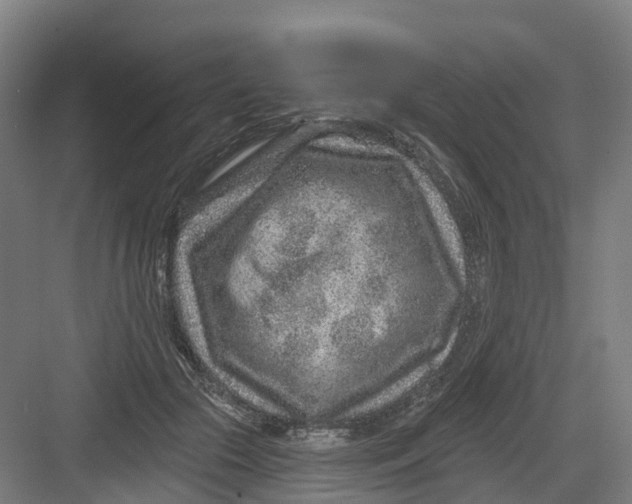 X0000082760553200702162028