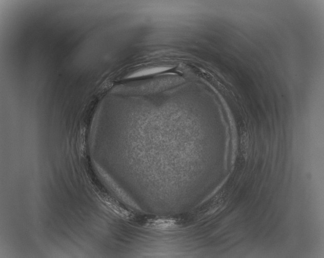 X0000082760554200702162028