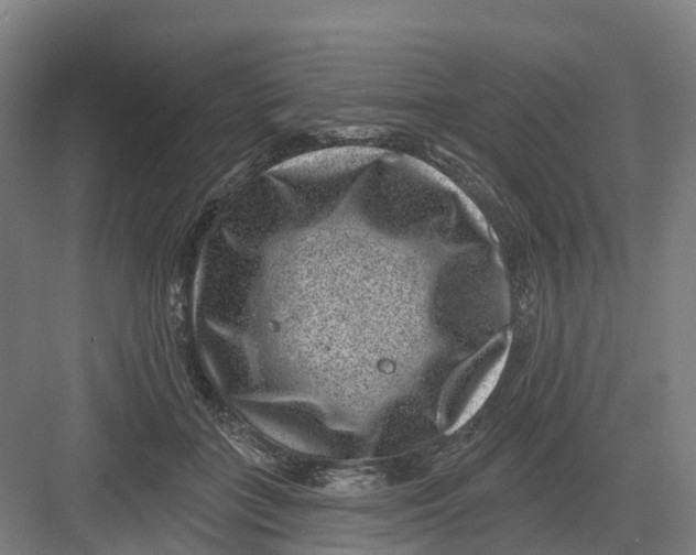 X0000082760555200702162028