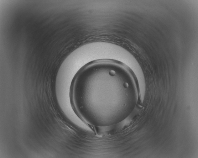 X0000082760558200702162028