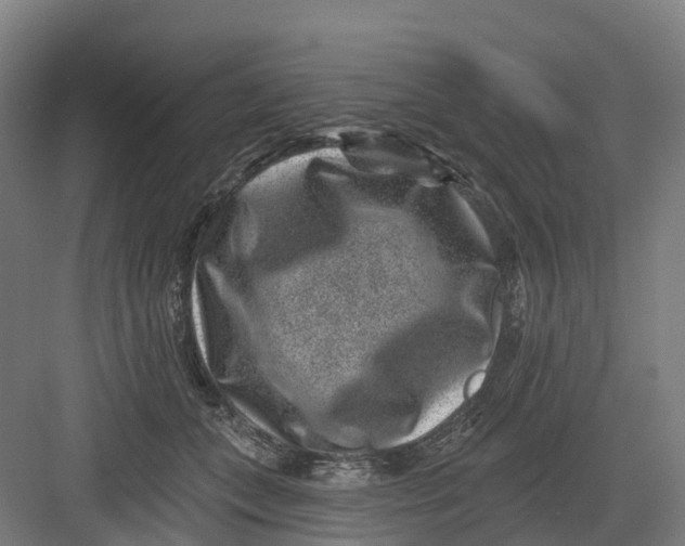 X0000082760559200702162028