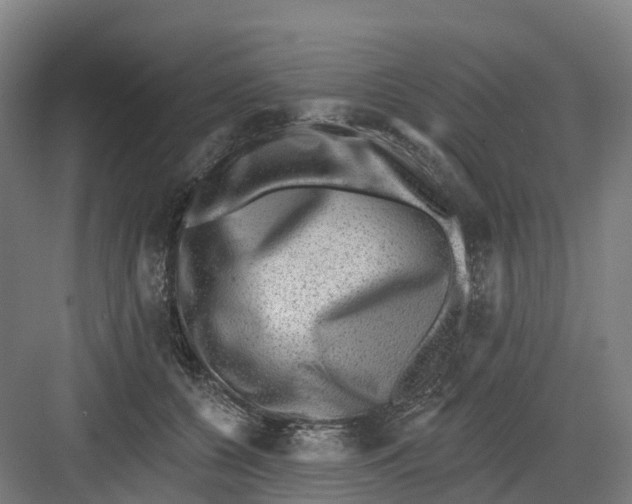 X0000082760560200702162028