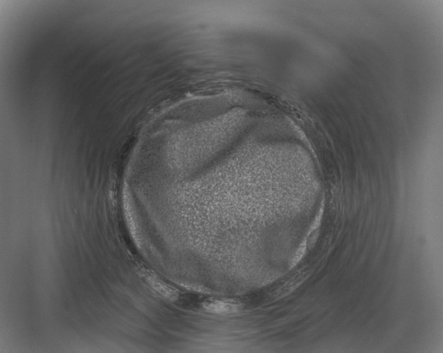 X0000082760561200702162028