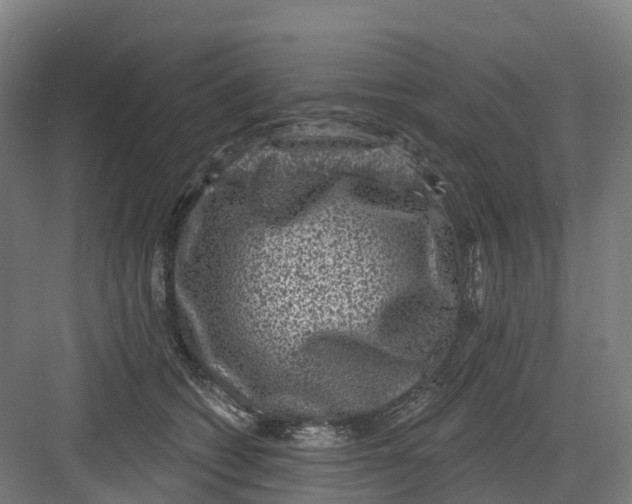 X0000082760562200702162028