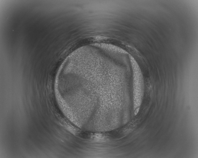 X0000082760565200702162028