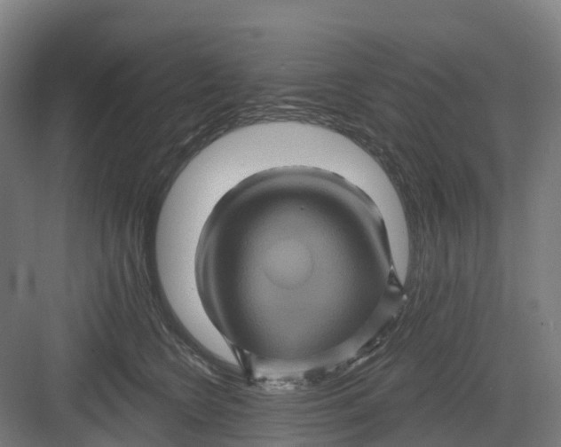 X0000082760566200702162028