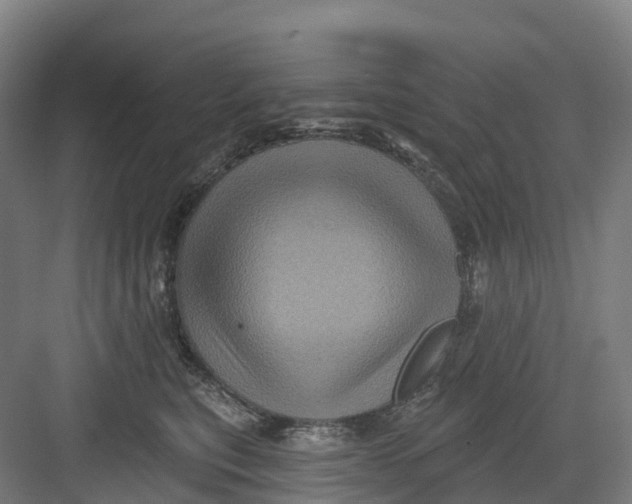 X0000082760567200702162028