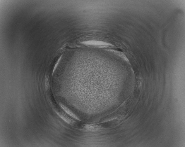 X0000082760568200702162028